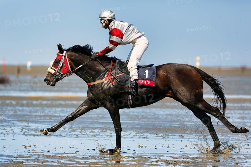 Rider, horse at a gallop, gallop race in the mudflats, Duhner Wattrennen 2019, Duhnen, Cuxhaven, UNESCO World Heritage Wadden Sea, North Sea, Lower Saxony, Germany, Europe