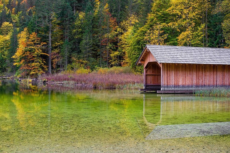 Lake Toplitz, forest in full autumn colors, Boatshelter, Austria, Europe