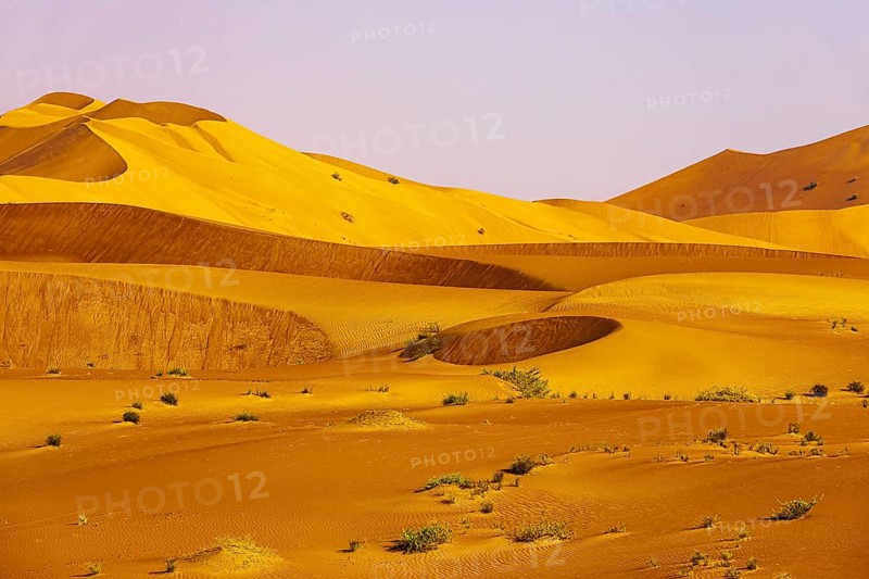 Wind-sculpted curved sand dunes in the Rub al Khali desert, Dhofar province, Arabian Peninsula, Sultanate of Oman