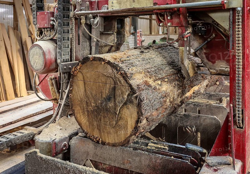 Solingen, North Rhine-Westphalia, Germany - Oak logs on the bandsaw in the sawmill, construction timber is scarce and expensive, carpentry and joinery companies are struggling with rapidly rising raw timber prices in times of the coronavirus crisis, and large quantities of logs are being exported to China and the USA