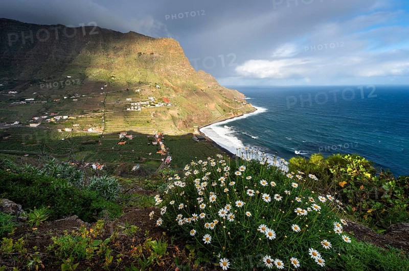 View of the town of Santa Catalina and the beaches of Playa de Santa Catalina and Playa de Hermigua in the valley of Hermigua. The sea and mountains. In the foreground, flowering shrub marguerites (Argyranthemum frutescens) . Clouds and sun. La Gomera, Canary Islands, Spain, Europe