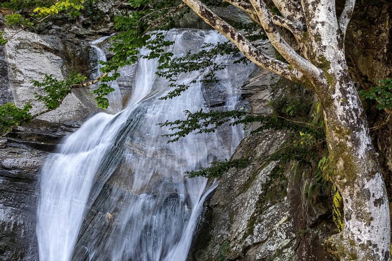 Waterfall near Sonogno, Verzasca Valley, Valle Verzasca, Canton Ticino, Switzerland, Europe