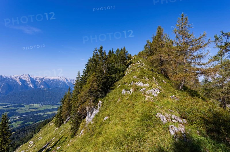 Mountain forest on the way to the Einberg with a view of the Lammertal and Tennengebirge, Postalm, Osterhorngruppe, Salzkammergut, Salzburg province, Austria, Europe