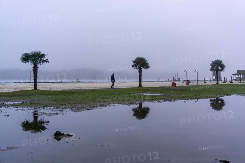 The Seaside Beach, at the Lake Baldeney in Essen, dull, very foggy January day, palm trees are reflected in a large puddle of rainwater, the lake visually sinks into the foggy weather North Rhine-Westphalia, Germany, Europe
