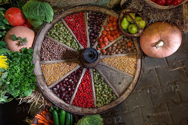 Fruit decorated in and around an old wooden spoked wheel at a harvest festival, Franconia, Bavaria, Germany, Europe