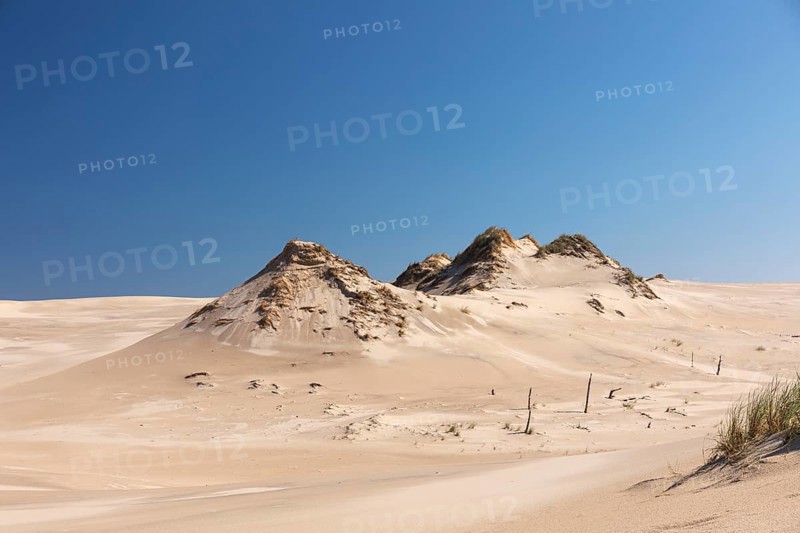 Lacka Dune on a sunny day with a blue sky in the Slowinski National Park, northern Poland on the Baltic Sea coast. 42 metres high and moving at a rate of 3 to 10 metres per year