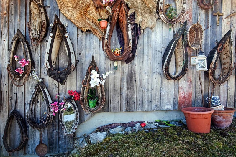 Old horse collar on a wooden wall, Oberallgäu, Allgäu, Bavaria, Germany, Europe