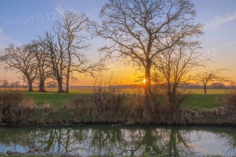 View across a ditch to the silhouettes of non-leafy trees at sunset, Kirchlinteln, Verden, Aller Leine Valley, Lower Saxony, Germany, Europe
