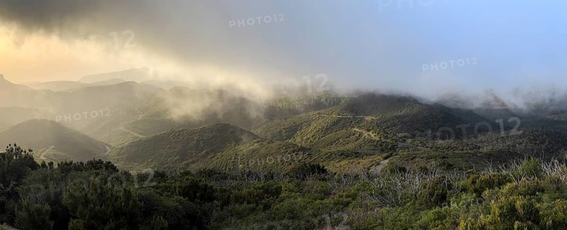 Sunset, view from the mountain Alto de Garajonay, Garajonay National Park, La Gomera, Canary Island, Spain, Europe