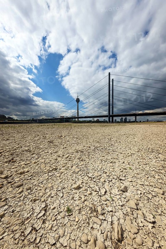 Düsseldorf, North Rhine-Westphalia, Germany, Dry riverbed in the Rhine in front of the Rheinkniebrücke and Rheinturm. After a long dry spell, the level of the Rhine fell to 71 cm today. Skippers speak of small water at this level, Europe