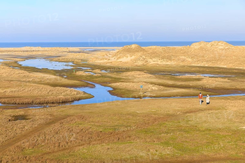 View from the post beacon, groundwater forms small ponds in the dune landscape in Norderney, in the background the North Beach and the North Sea, Lower Saxony, Germany, Europe