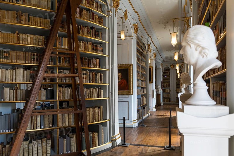 Central Rococo Hall of the Duchess Anna Amalia Library in Weimar, Thuringia, Germany, Europe