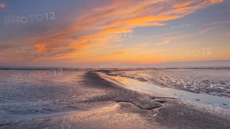 View of a tidal flat in the Wadden Sea at low tide at sunset, National Park, Unesco, World Natural Heritage, World Heritage, Lower Saxony, Wadden Sea, Cuxhaven, Lower Saxony, Germany, Europe