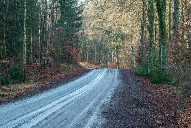 Vet gravel road in a forest in winter in Fyledalen, Ystad municipality, Skåne, Sweden Scandinavia