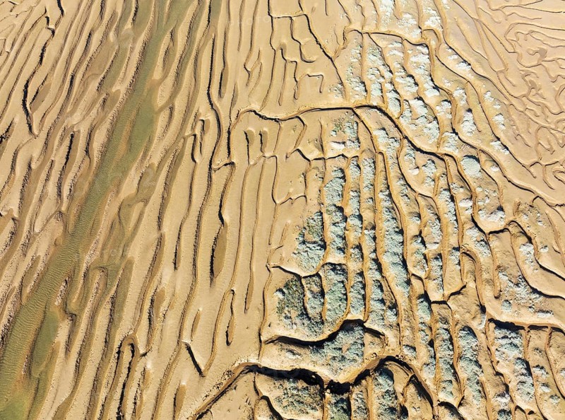 Network of channels and streams at low tide. In the marshland adjacent to the Odiel river. Aerial view. Drone shot. Huelva province, Andalusia, Spain, Europe