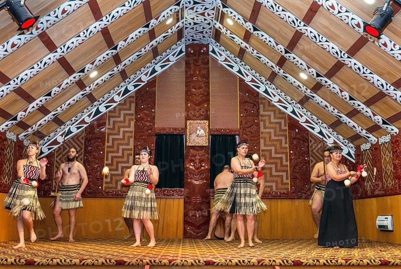 Maori welcome dance performance, Te Puia, Rotorua, Bay of Plenty, North Island, New Zealand, Oceania