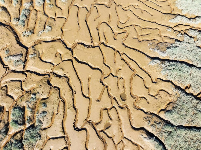 Network of channels and streams at low tide. In the marshland adjacent to the Odiel river. Aerial view. Drone shot. Huelva province, Andalusia, Spain, Europe