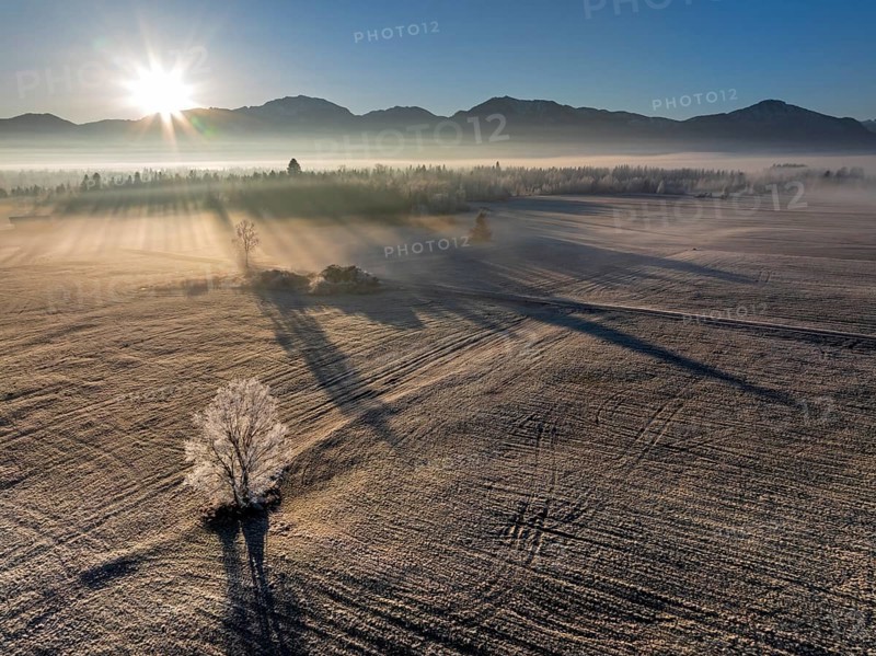 Sunrise, fog, hoarfrost, mountains, winter, tree, backlight, aerial view, Loisach-Lake Kochel moor, behind Benediktenwand, Alpine foothills, Bavaria, GermanyDefault