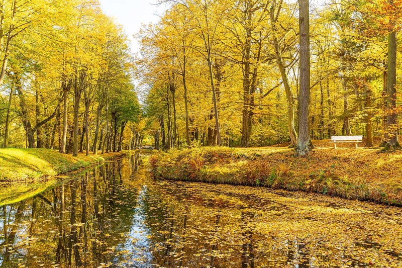 Castle park of Hermsdorf Castle with castle moat in autumn, Ottendorf-Ockrilla, Saxony, Germany, Europe