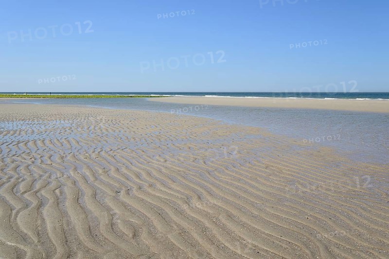 Beach at low tide with wave-like structure, current ripples in wet sand, blue sky, North Sea, Norderney, East Frisian Islands, Lower Saxony, Germany, Europe
