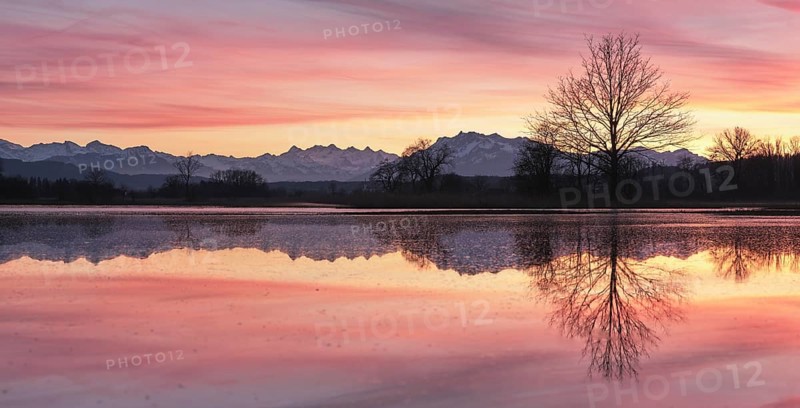 Pilatus reflected in the flooded nature reserve in the evening light, Reussspitz, Hünenberg, Canton Zug, Switzerland, Europe