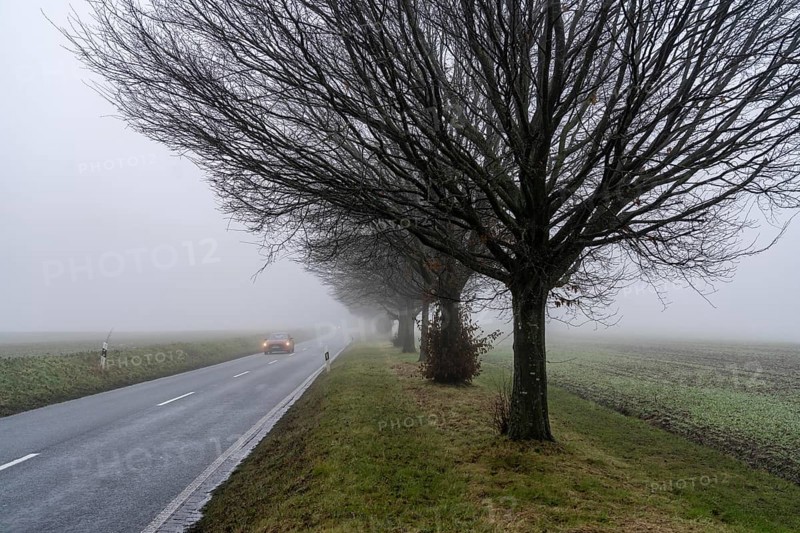 Dense fog, with visibility sometimes less than 100 metres, country road, Schuirweg, in Essen, North Rhine-Westphalia, Germany, Europe