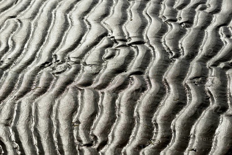 Beach at low tide with wave-like pattern, current ripples, North Sea, Norderney East Frisian Islands, Lower Saxony, Germany, Europe