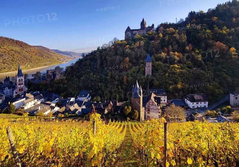 View of Bacharach with Stahleck Castle, hilltop castle above the Rhine, UNESCO World Heritage Upper Middle Rhine Valley in autumn, Rhineland-Palatinate, Germany, Europe