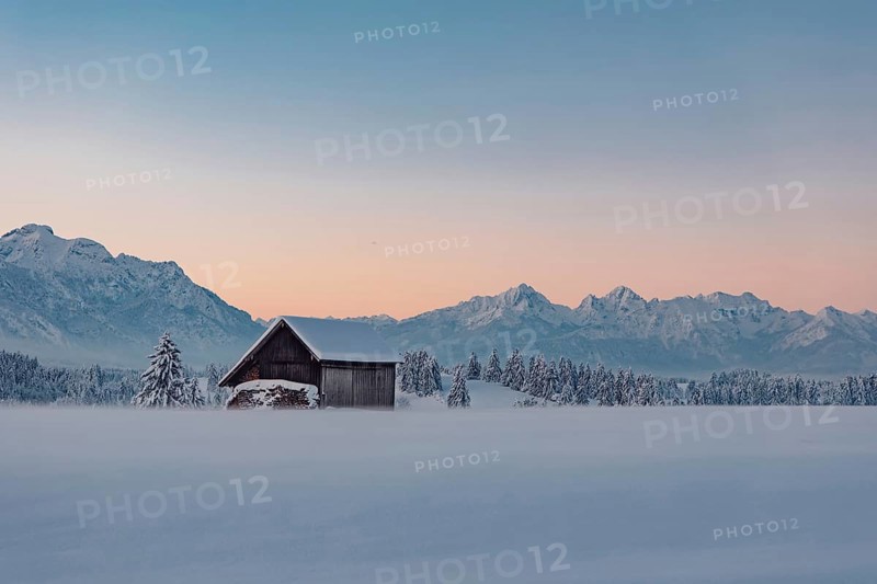 Deep snowy winter morning mood near Halblech in the foothills of the Alps in the Allgäu with the mountains in the background, Bavaria, Germany, Europe