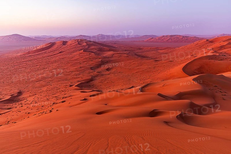 Wind-sculpted, curved sand dunes in the Rub al Khali desert, Dhofar province, Arabian Peninsula, Sultanate of Oman