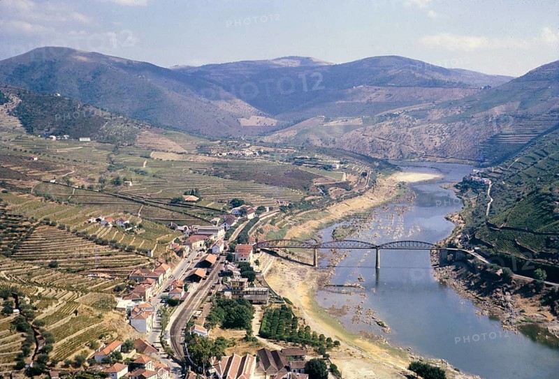 Herstellung von Portwein in Portugal um 1960 Landschaft im Douro-Tal Weinreben auf Hangterrassen um das Dorf Pinhão