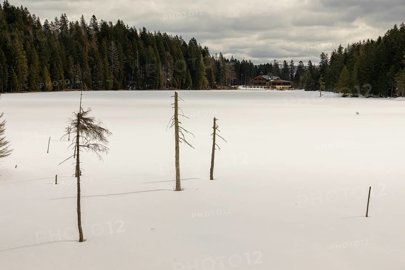 Lake Grosser Arbersee in late winter. The lake and the adjacent forest are snow covered. Germany, Bavaria, Bavarian Forest National Park