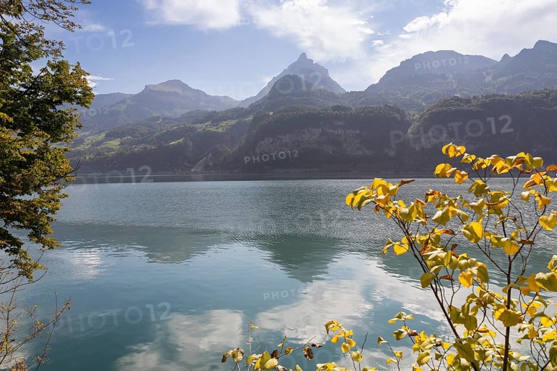 View from the north shore to the mountains in the south of Lake Walen, Amden, St. Gallen, Switzerland, Europe