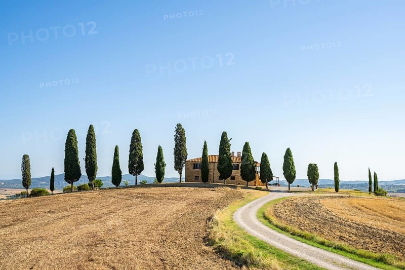 Tuscany landscape with cypresses and farmstead, dawn, 'Podere Cipressini', San Quirico d'Orcia, Val d'Orcia, Tuscany, Italy, Europe