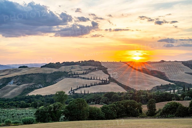 Typical Tuscan landscape in Val d'Orcia with hills, trees, fields, cypresses and farm road in autumn at sunset, La Foce, Tuscany, Italy, Europe