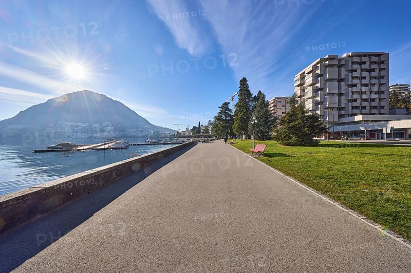 Lakeside promenade, lake, modern architecture, trees, backlight of the sun, blue sky with veil clouds, street Riva Antonio Caccia, Lugano, district Lugano, Ticino, Switzerland, Europe