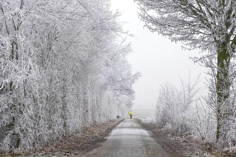 Snow-covered path with icy trees and a person in a yellow coat walking in the distance, Schöppingen, Münsterland, North Rhine-Westphalia, Germany, Europe