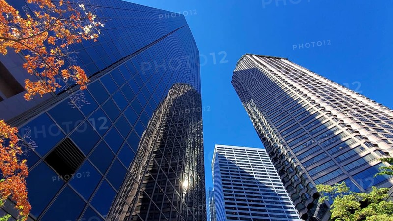 USA, Seattle financial and business district skyline in city downtown, North America