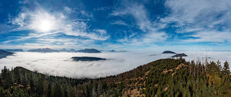 Drone shot, view from Schwarzenberg to a sea of fog in the Salzach valley, Osterhorn group, Salzkammergut, Salzburg province, Austria, Europe
