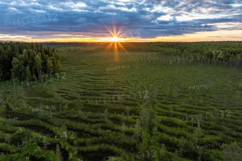 Wetland in Lapland, midnight sun, swamp, Muonio, Finland, Europe