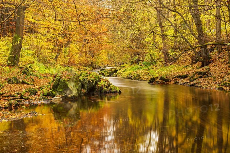 Autumn by the Schwarza river in the Schwarzatal nature reserve between Bad Blankenburg and Schwarzburg, Thuringia, Germany, Europe