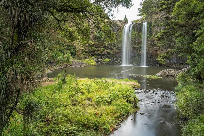 Waterfall of Whangarei Falls flowing into a tranquil river, surrounded by lush greenery and rocks, in the middle of a dense forest, Whangarei, New Zealand, Oceania
