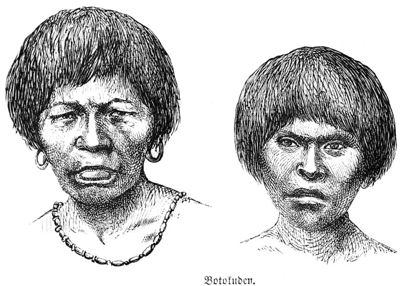 Portrait of two Botokuden of the Brazilian indigenous population, members of the ethnic group live in the Amazon rainforest and neighbouring mountainous areas, woman and young man, travel, Brazil, historical illustration 18888, South America
