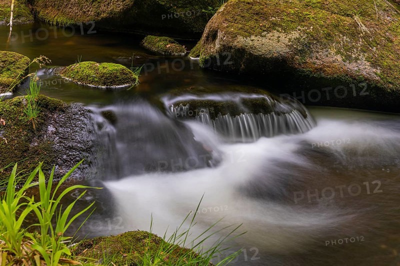 Kleine Ohe creek below Waldhaeuser village in the Bavarian Forest Nationalpark. Flowing water, little cascades, mossy stones and fresh green vegetation