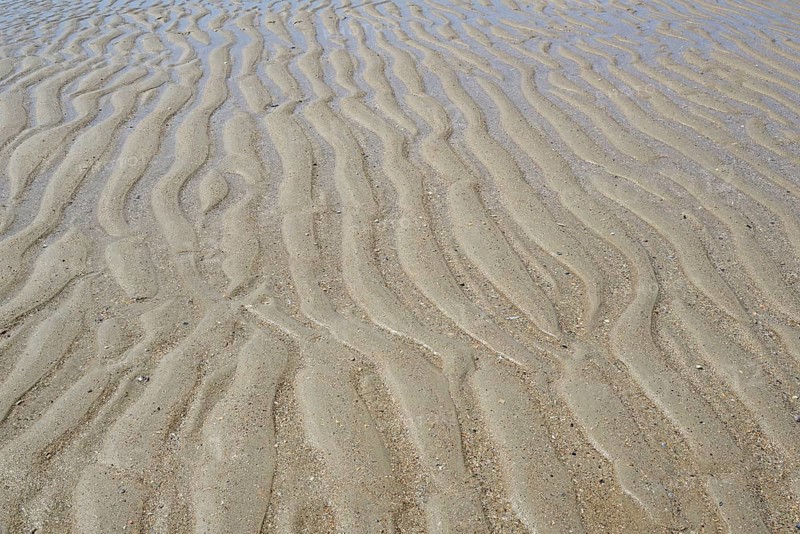 Beach at low tide with wave-like structure, current ripples in wet sand, North Sea, Norderney, East Frisian Islands, Lower Saxony, Germany, Europe