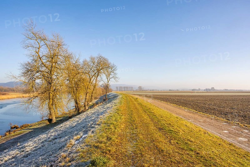 Early Morning ladscape with frost of the Danube river shore, Wörth an der Donau, Regensburg, Upper Palatinate, Bavaria, Germany, Europe