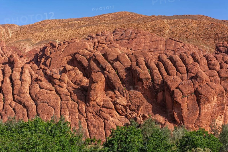 The impressive cliffs in the Dades Gorge. A tree stands in the centre of a field with a rocky hill in the background