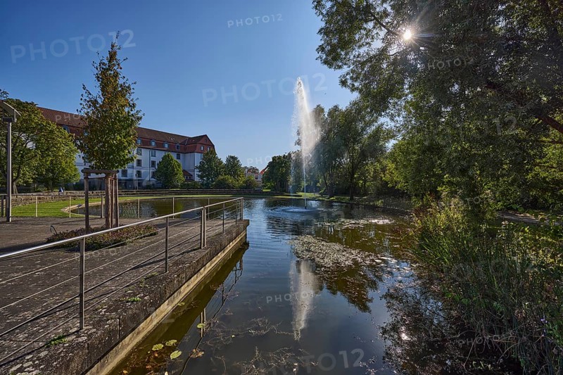 Park, pond, fountain, trees, general architecture, backlight of the sun, light-flooded foliage, blue sky, cloudless, street Am Französischen Garten, Celle, Lüneburger Heide, district of Celle, Lower Saxony, Germany, Europe