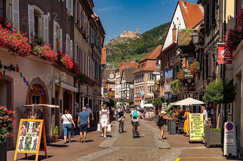 Old town and castle ruins in Ribeauville, Alsace, France, Europe