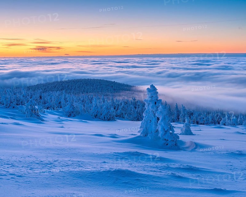 Morning atmosphere on the Brocken, view over snow-covered winter landscape with snow-covered spruce forest and sea of fog at dawn, above the clouds, inversion weather, Harz National Park, Saxony-Anhalt, Germany, Europe